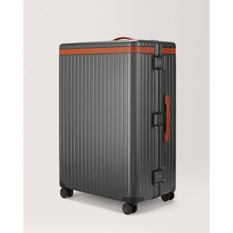 Carl Friedrik Hybrid The Large Check-in