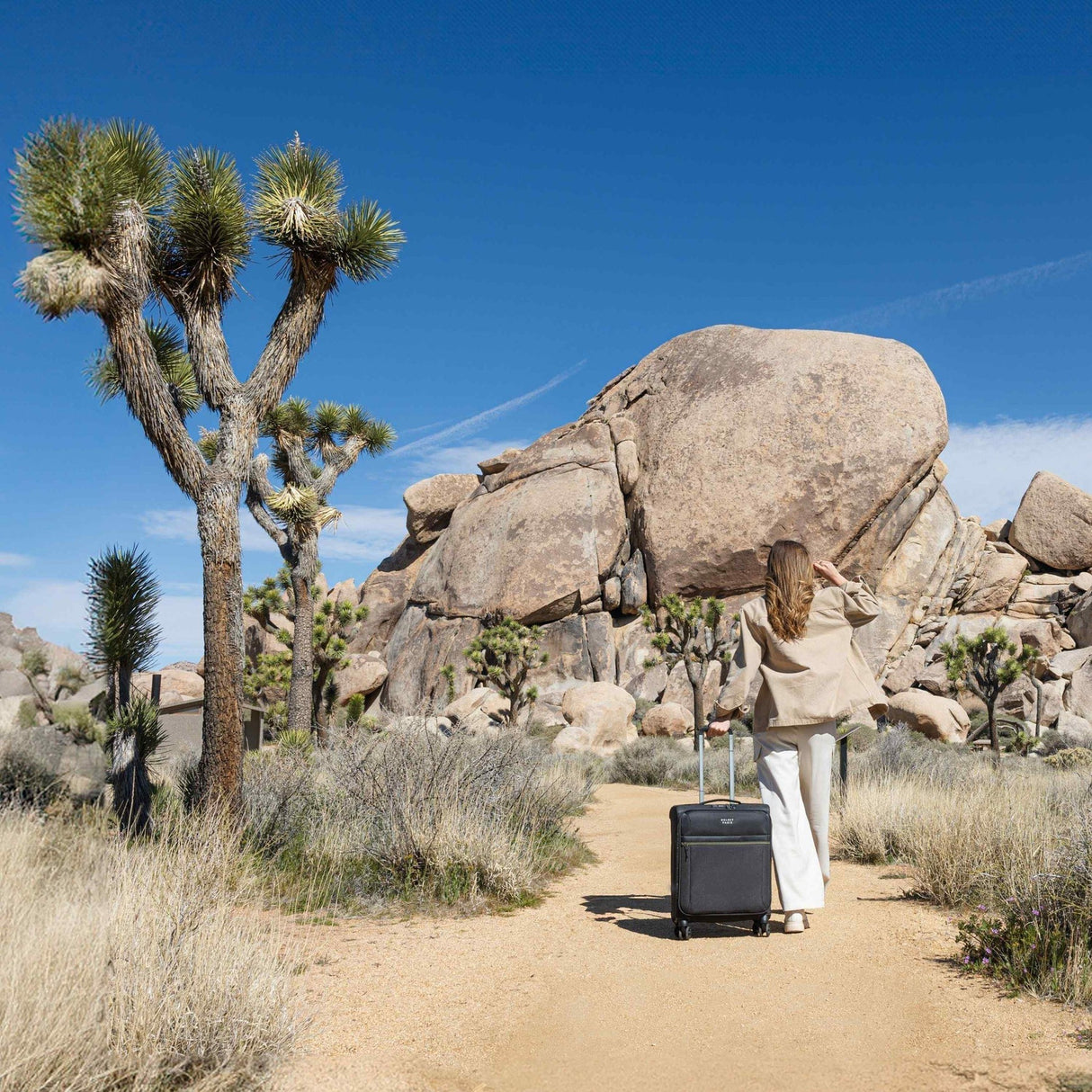 Delsey Brochant 3 20" Expandable Spinner Carry-On