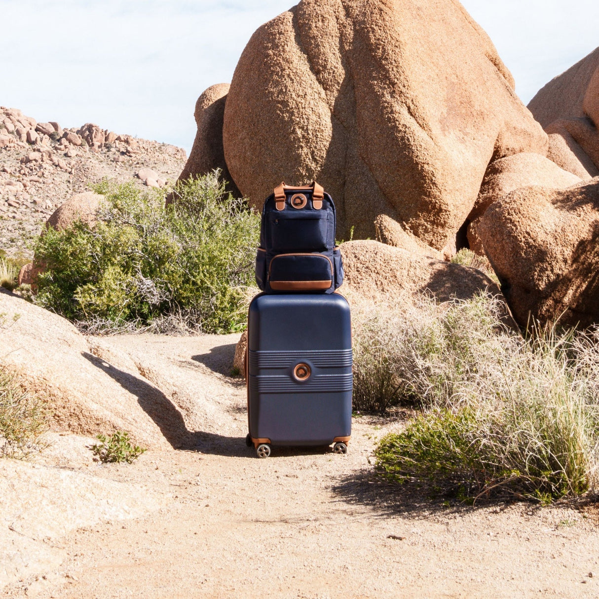 Delsey Flanerie SE Spinner Carry-On