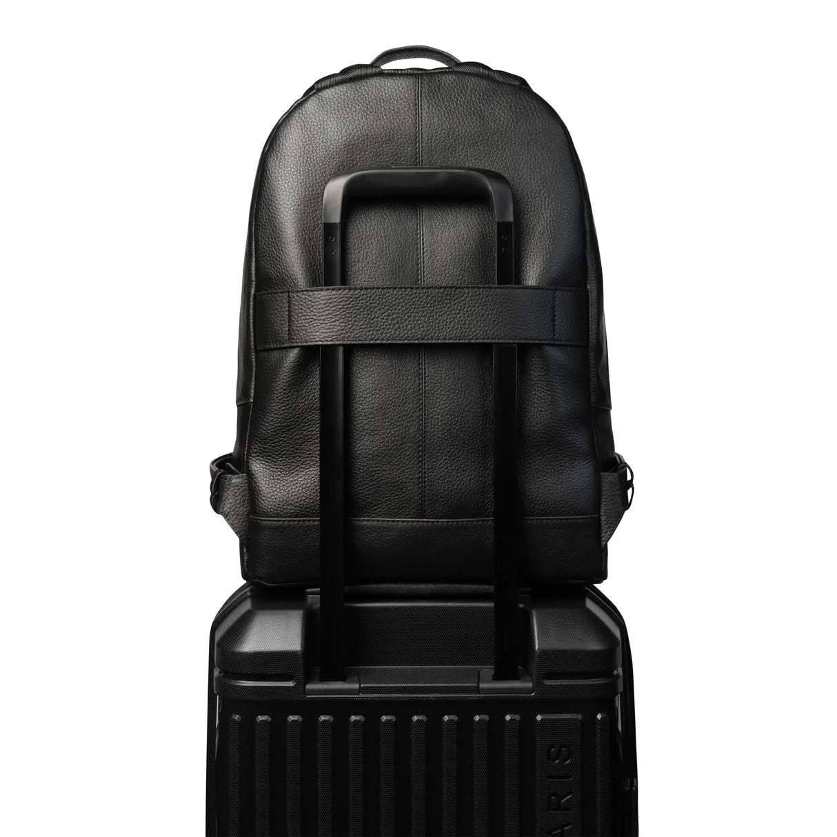 Delsey Leather Collection Backpack