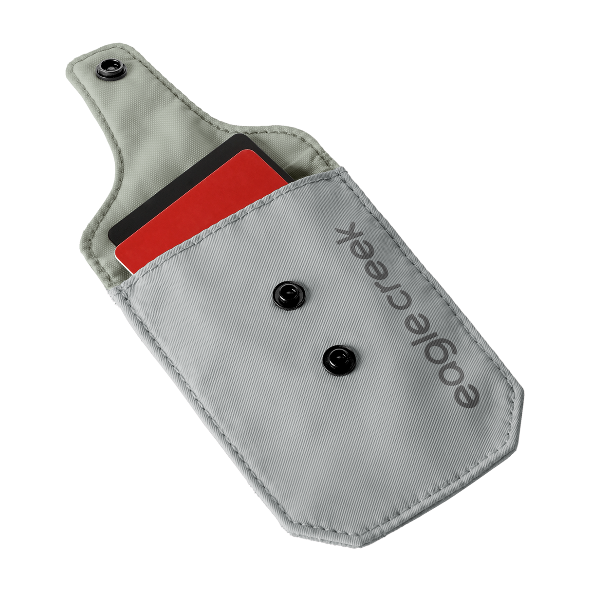 Eagle Creek Undercover RFID Bra Pouch