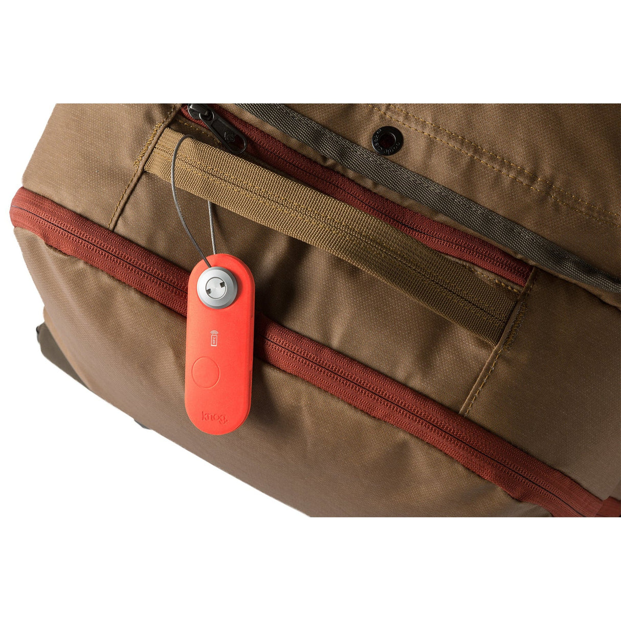Eagle Creek Scout Travel Smart Luggage Tag