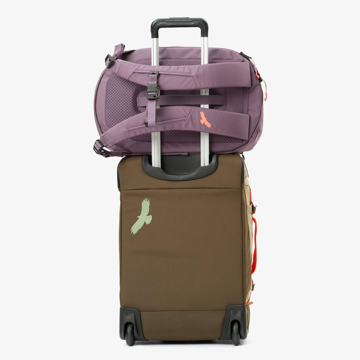 Eagle Creek Tour Lite Travel Pack 38L