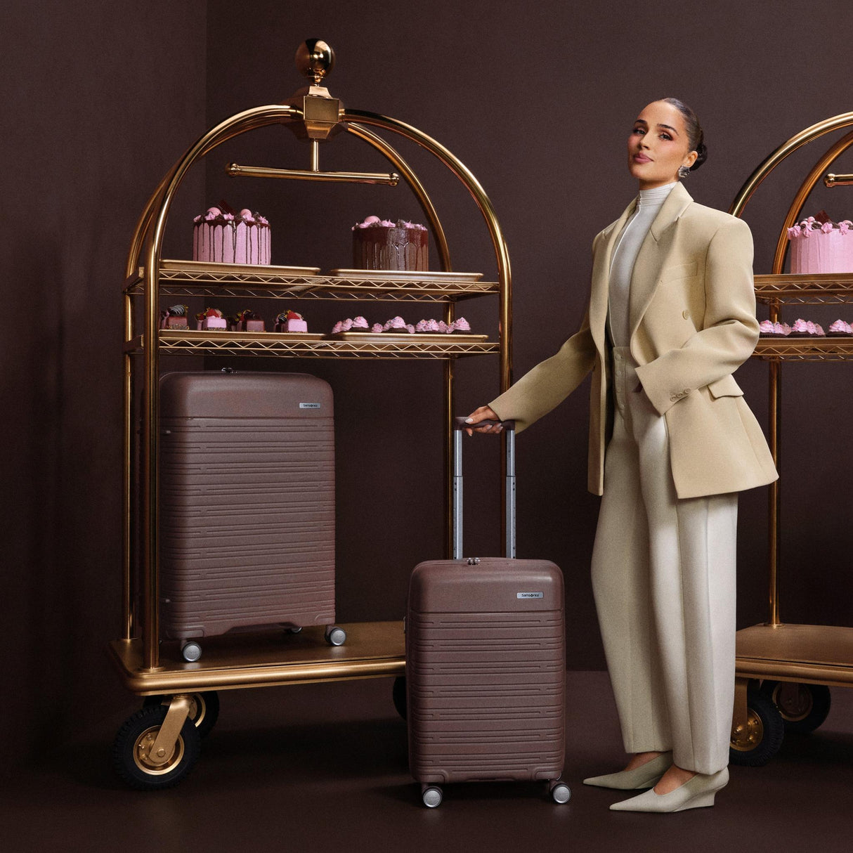 Samsonite Elevation Plus Hardside Large Spinner