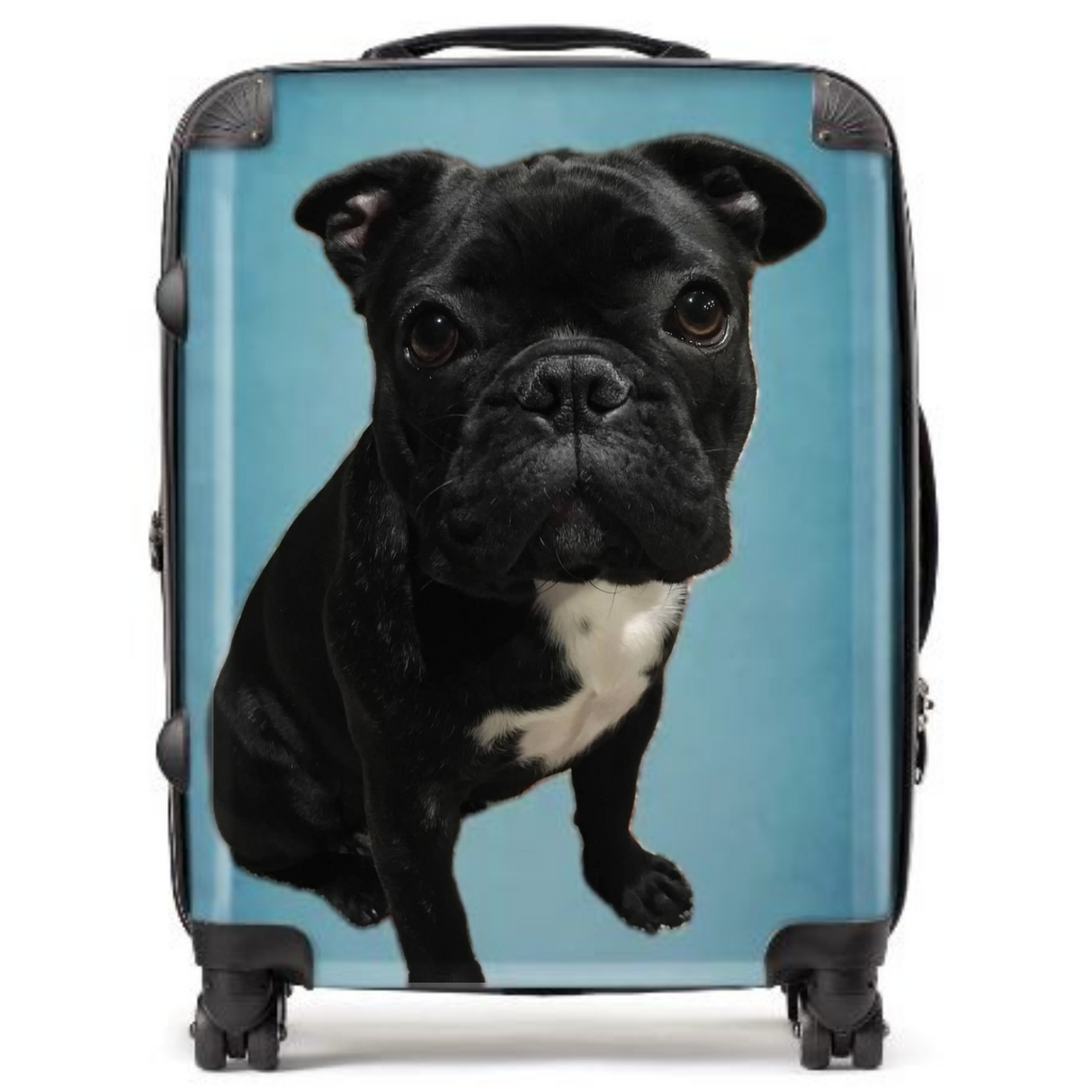 MyFly Bag Personalized 28" Luggage