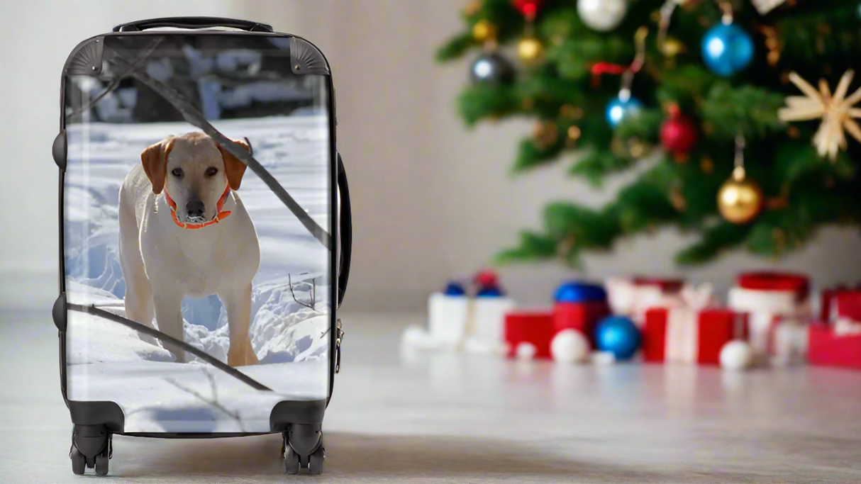 MyFly Bag Personalized Carry-On Luggage