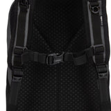 Pacsafe Vibe 20L Backpack