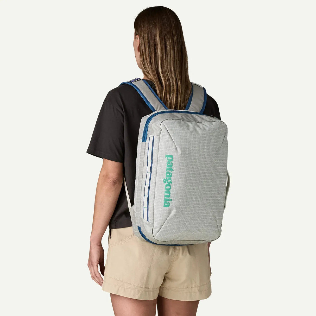 Patagonia Black Hole Micro MLC Backpack 22L *STORE*