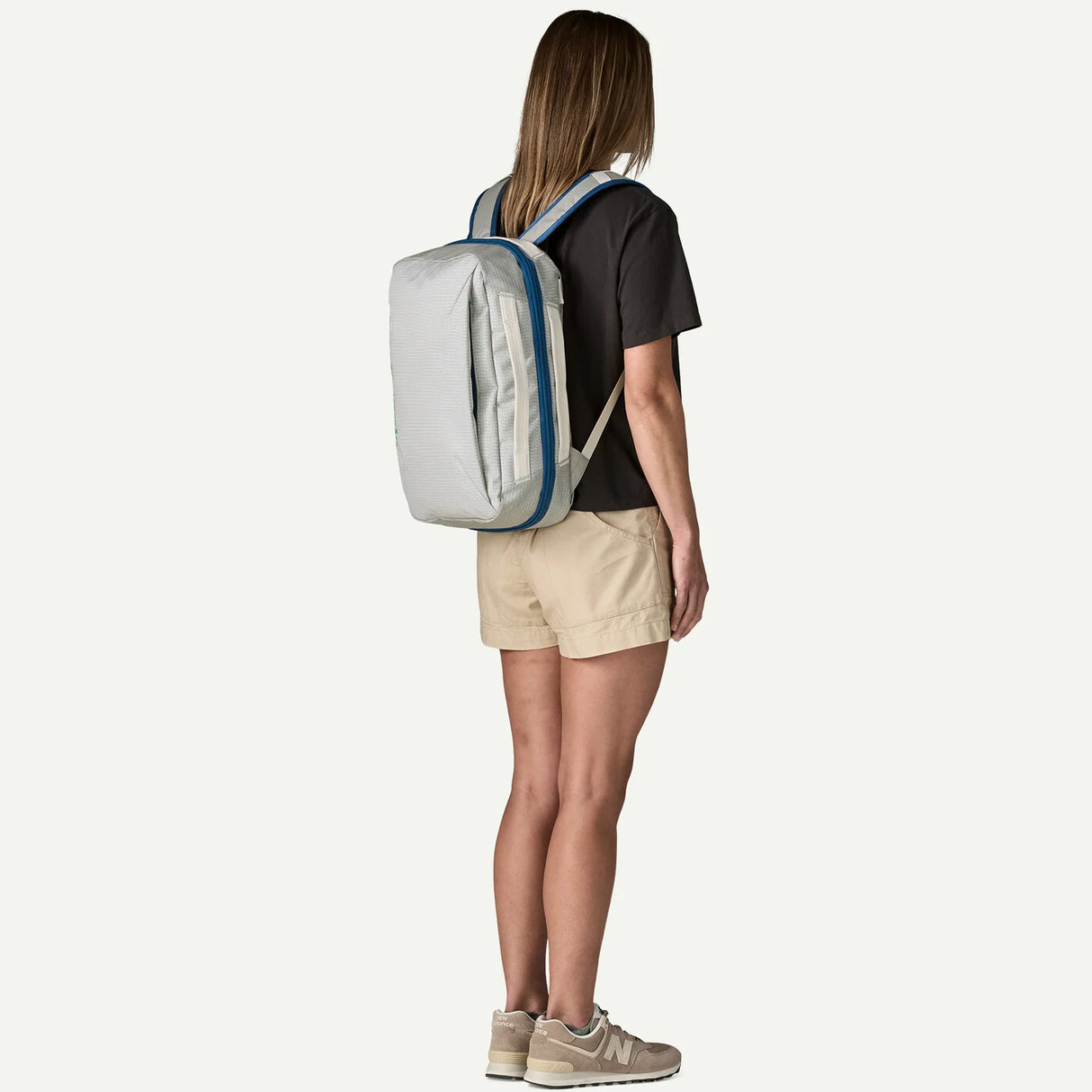 Patagonia Black Hole Micro MLC Backpack 22L