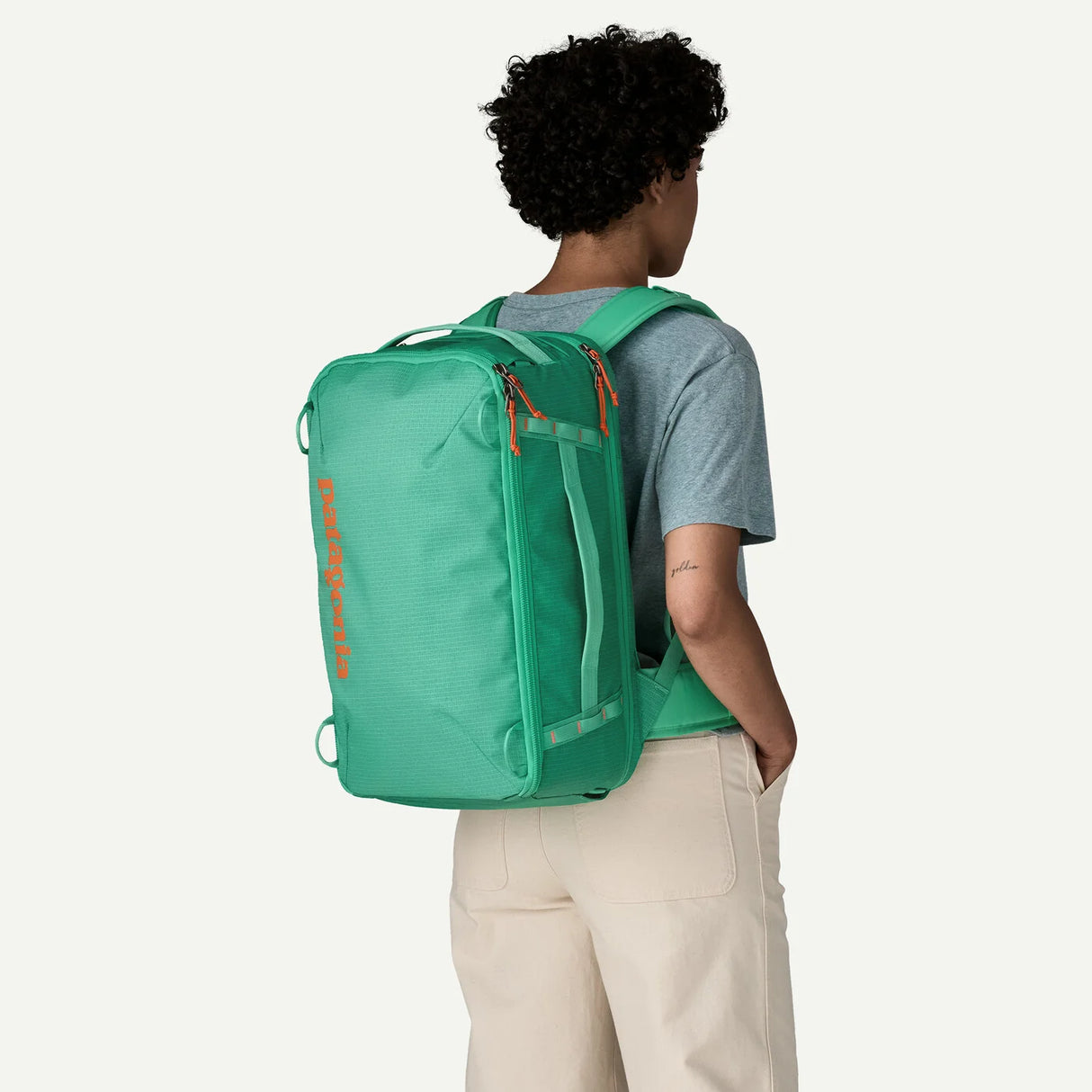 Patagonia Black Hole Mini MLC Pack 30L