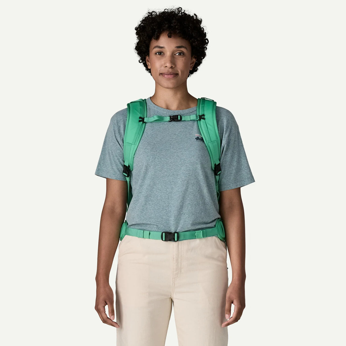 Patagonia Black Hole Mini MLC Pack 30L