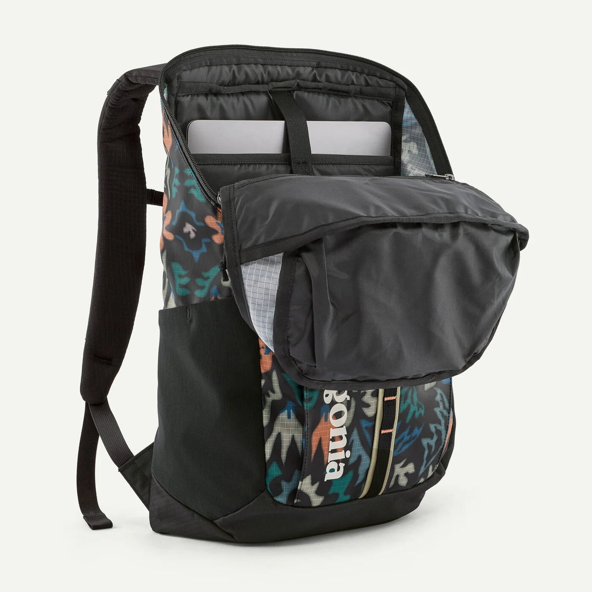 Patagonia Black Hole Pack 25L