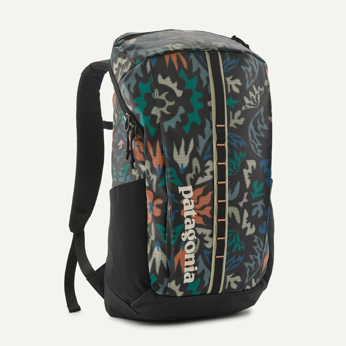 Patagonia Black Hole Pack 25L