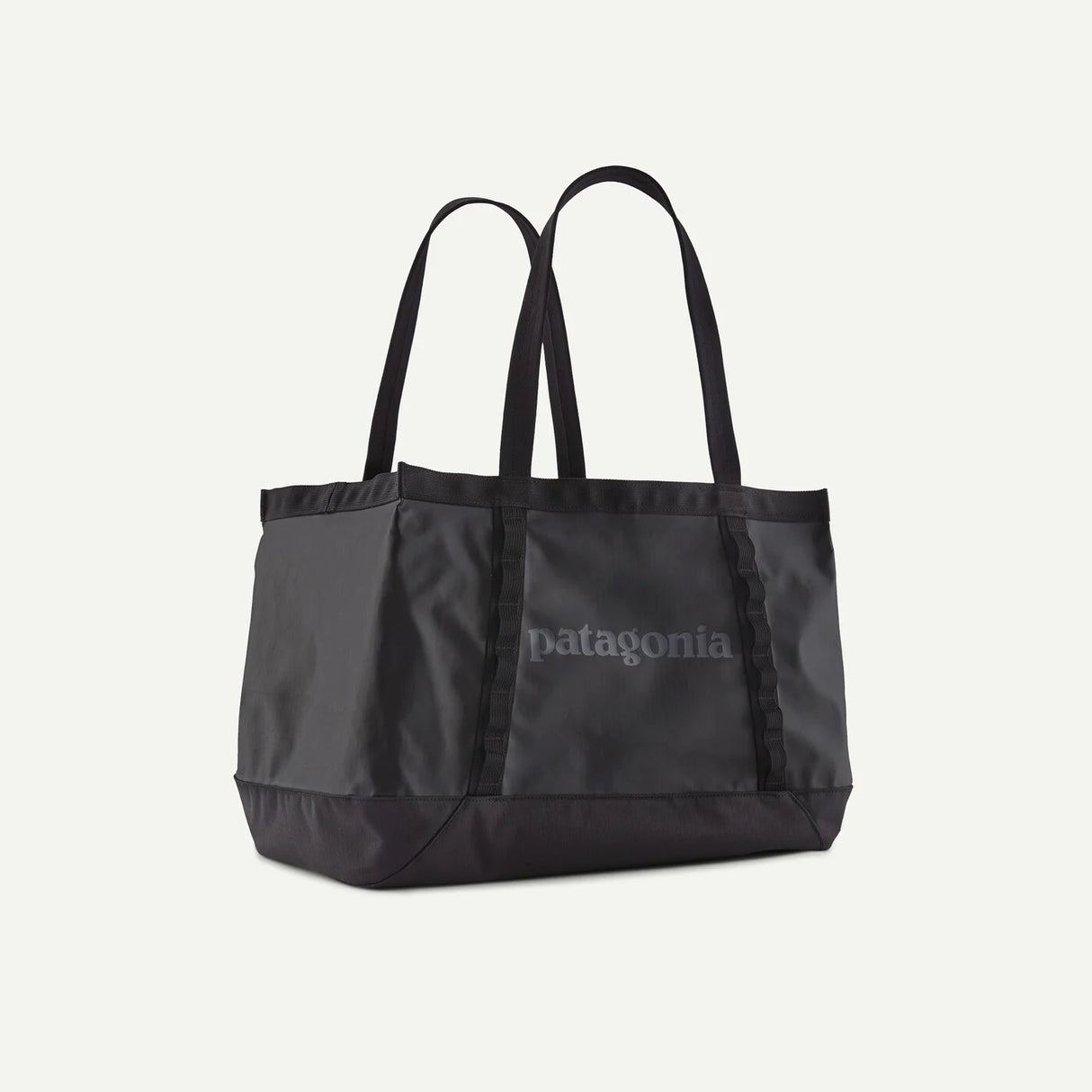 Patagonia Black Hole Tote 25L