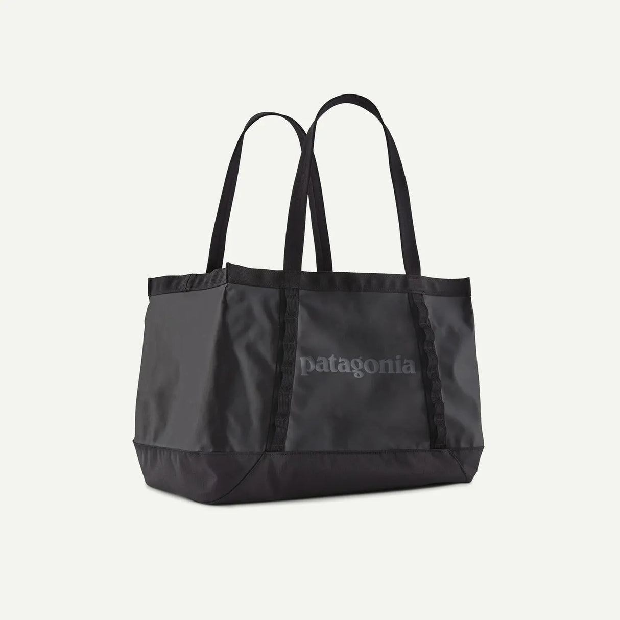 Patagonia Black Hole Tote 25L *STORE*