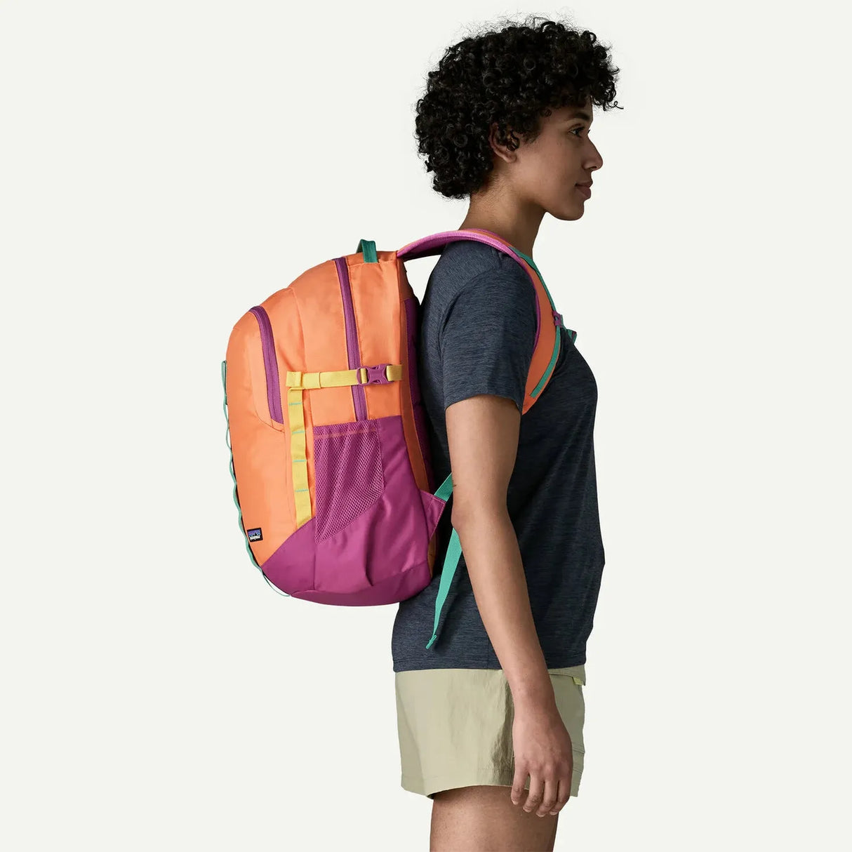 Patagonia Refugio Day Pack 26L *STORE*