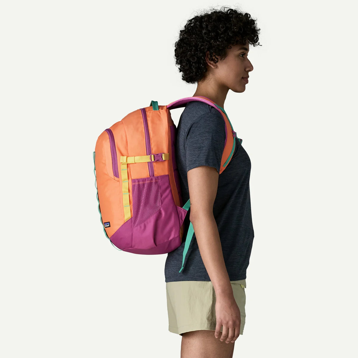 Patagonia Refugio Day Pack 26L