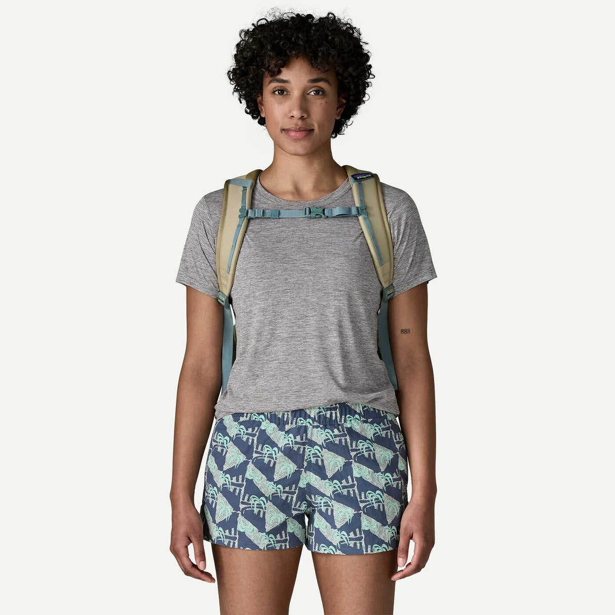 Patagonia Refugio Day Pack 26L