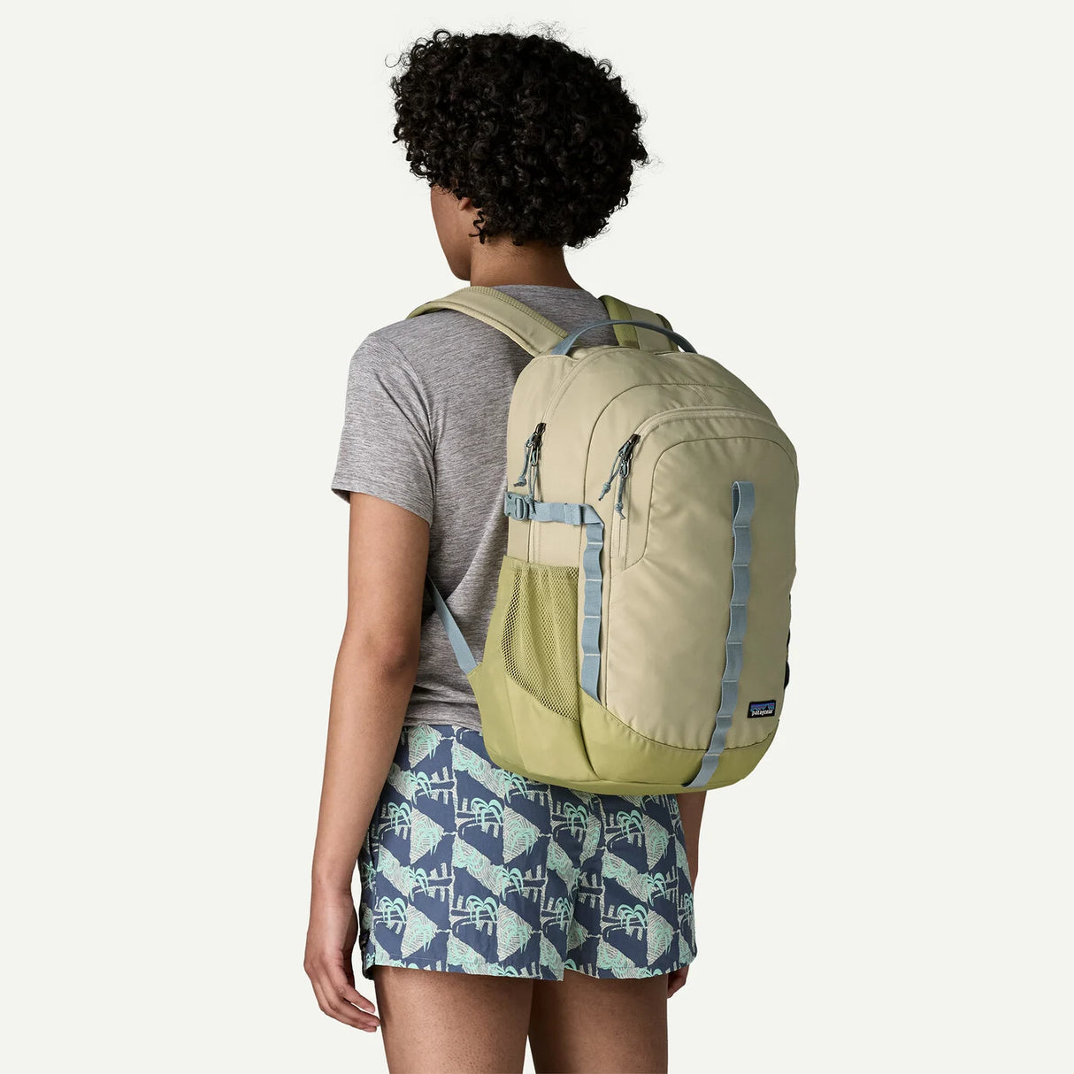 Patagonia Refugio Day Pack 26L