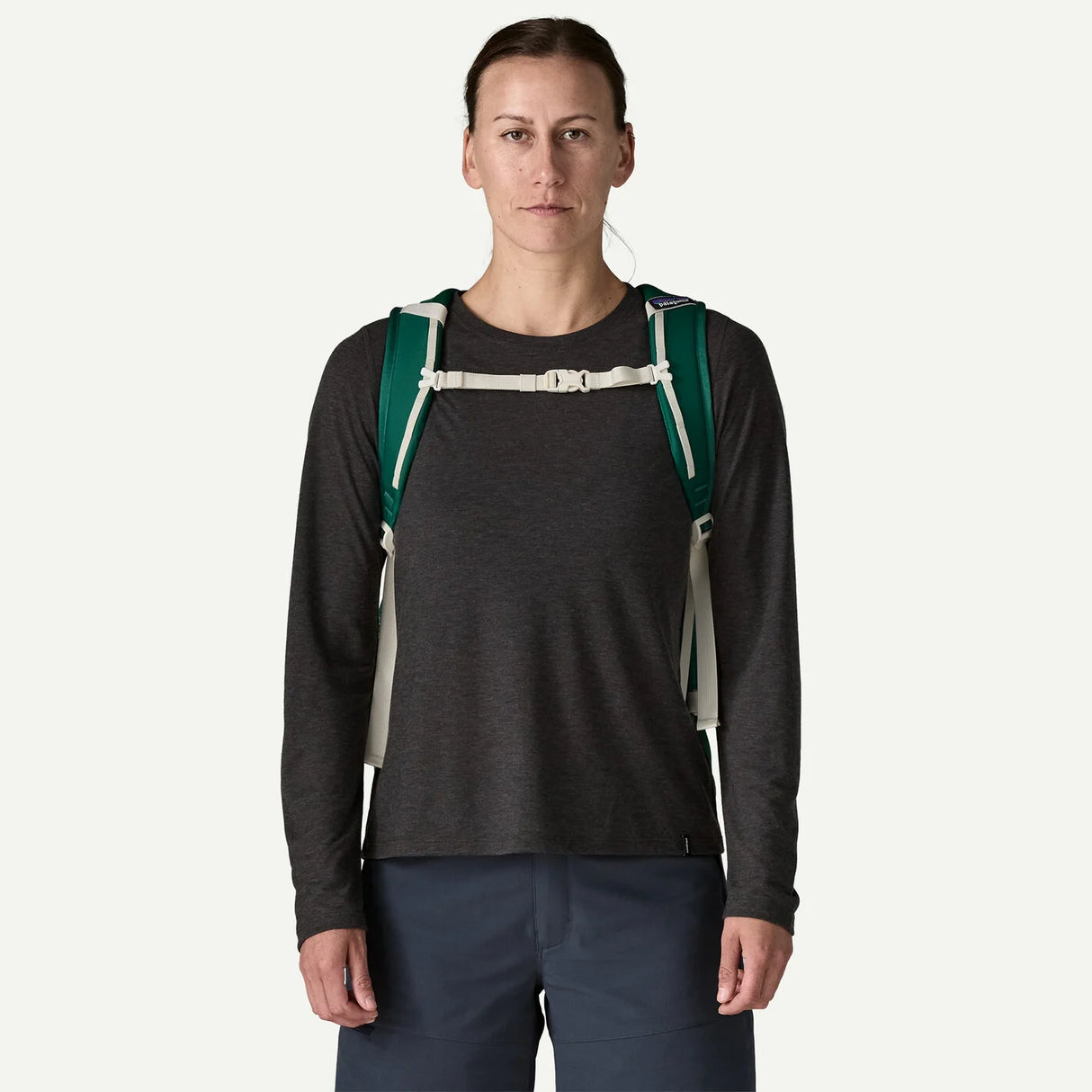 Patagonia Refugio Day Pack 30L