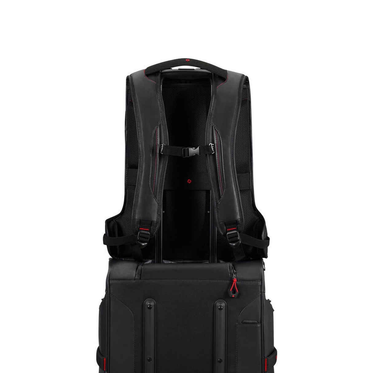 Samsonite Ecodiver Large Laptop Backpack
