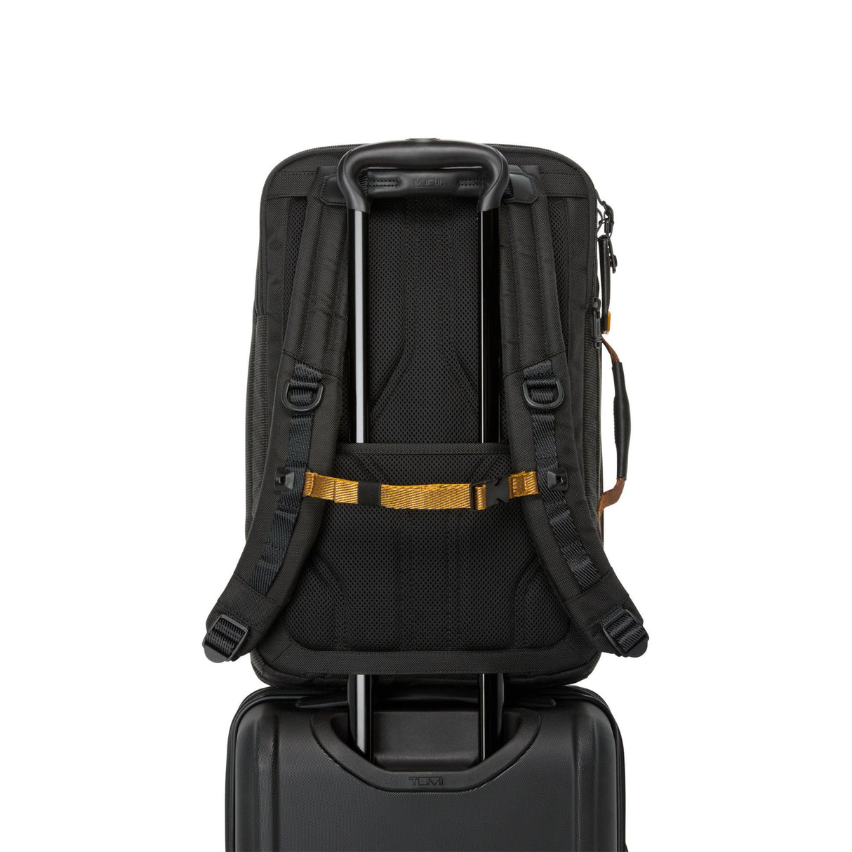 TUMI Alpha Bravo Detrick Backpack