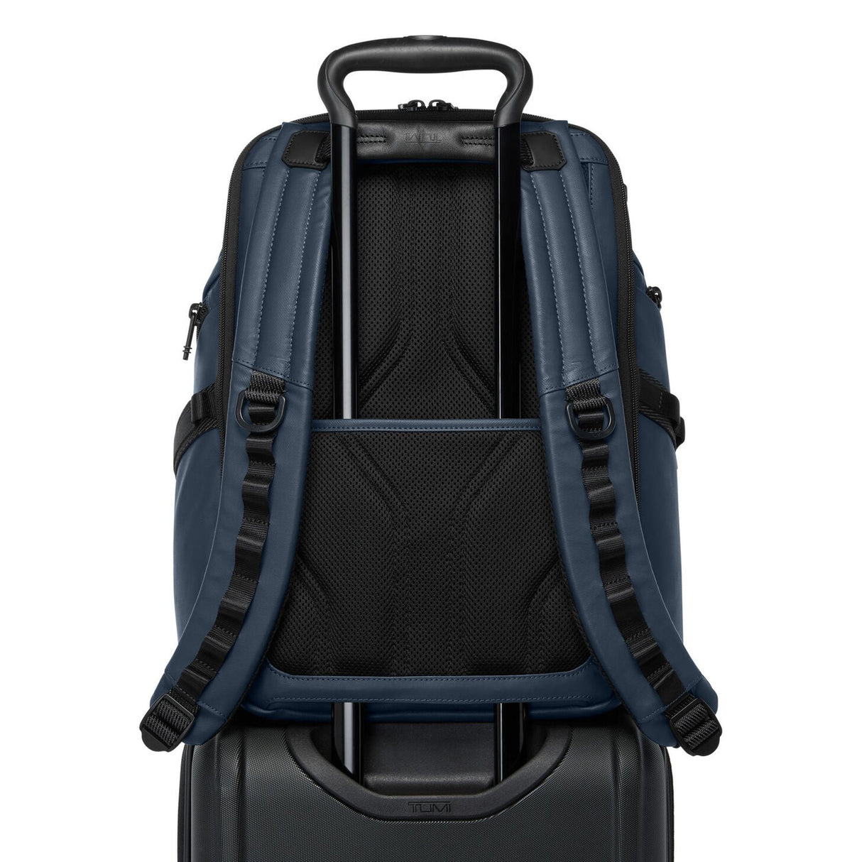 TUMI Alpha Bravo Search Backpack
