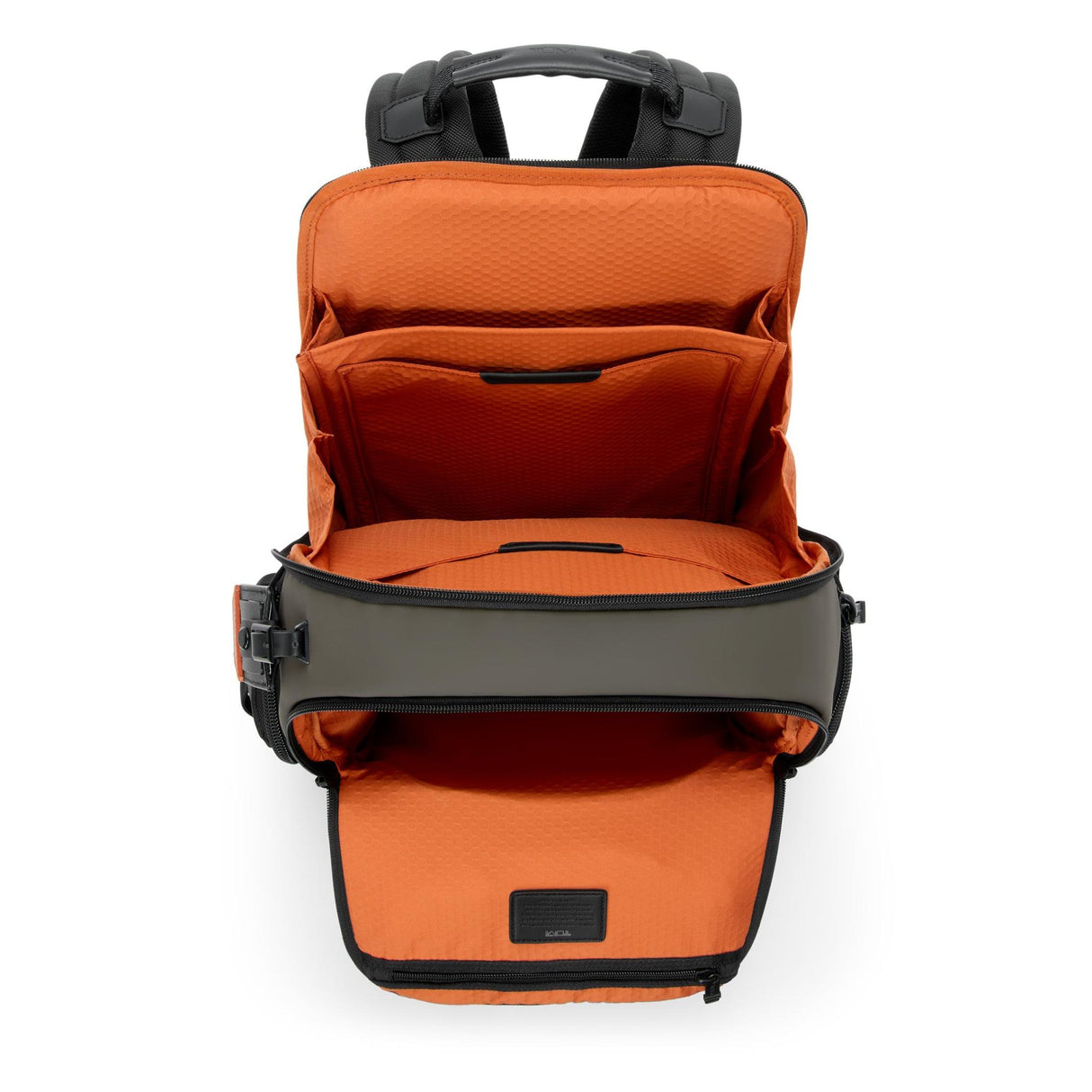 TUMI Alpha Bravo Search Backpack