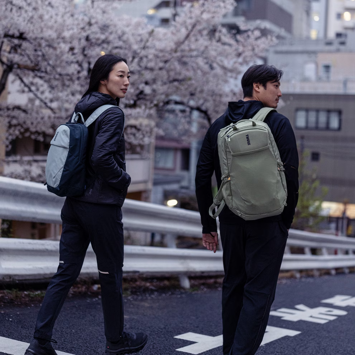 Thule Luggage Enroute Backpack 26L