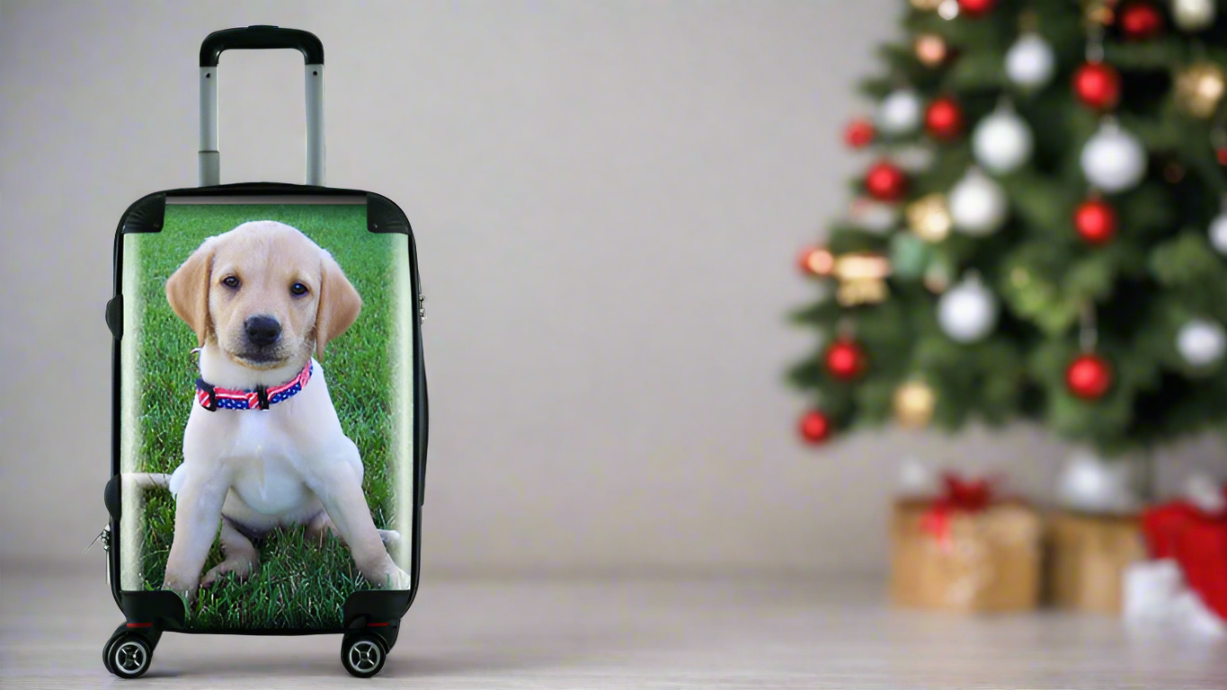 MyFly Bag Personalized Carry-On Luggage