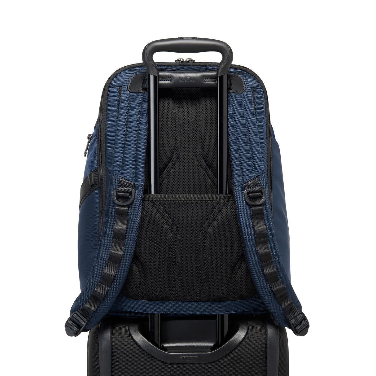 TUMI Alpha Bravo Search Backpack