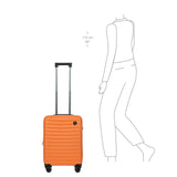 Brics Nausicaa 21" Expandable Spinner