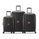 Delsey Carrousel 3-Piece Set (Carry-On, 24" and 28")