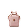 Delsey Chatelet Air 2.0 Backpack Tote