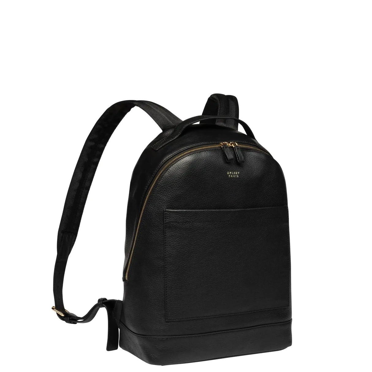 Delsey Leather Collection Backpack