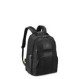 Delsey Wagram Laptop Backpack