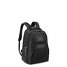 Delsey Wagram Laptop Backpack