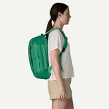 Patagonia Black Hole Micro MLC Backpack 22L