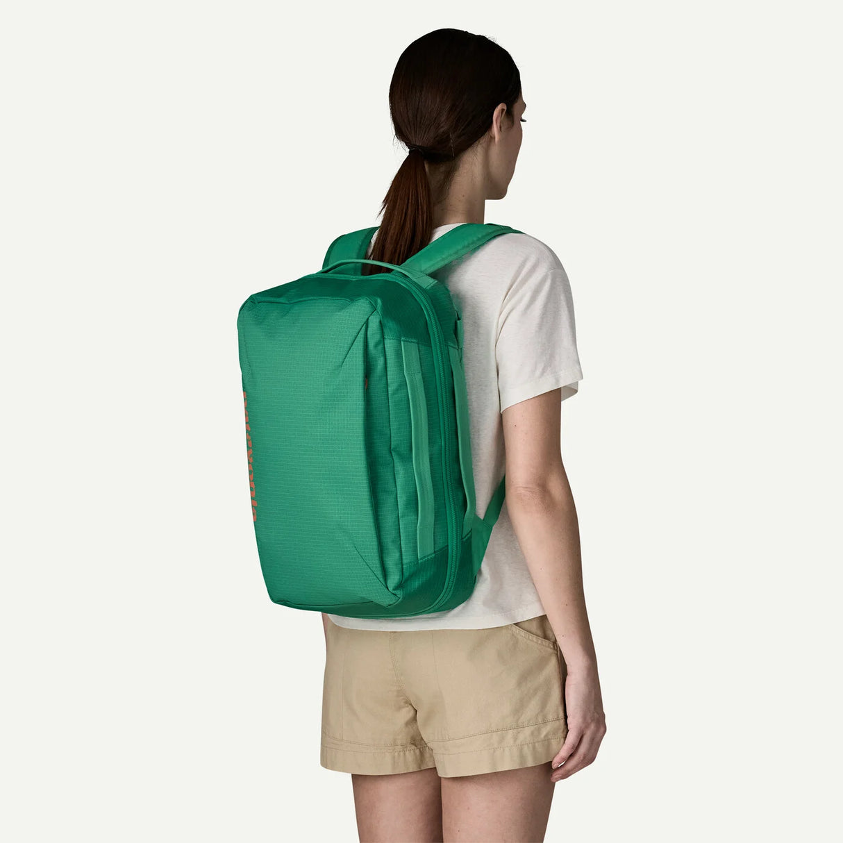 Patagonia Black Hole Micro MLC Backpack 22L