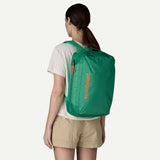 Patagonia Black Hole Micro MLC Backpack 22L