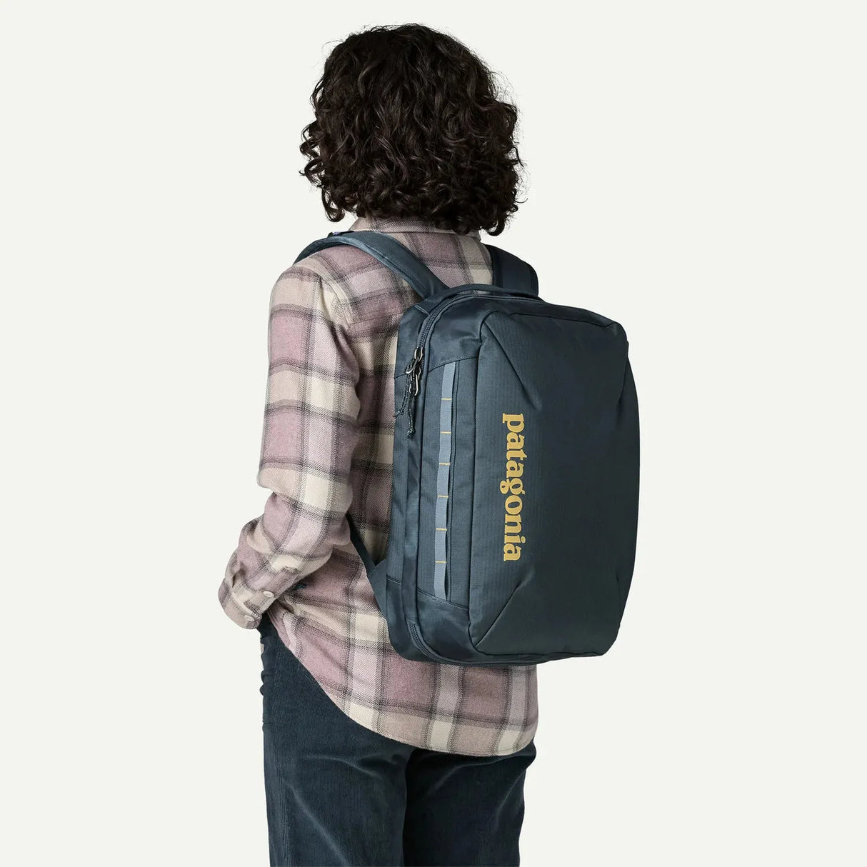 Patagonia Black Hole Micro MLC Backpack 22L