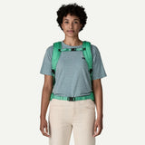 Patagonia Black Hole Mini MLC Pack 30L