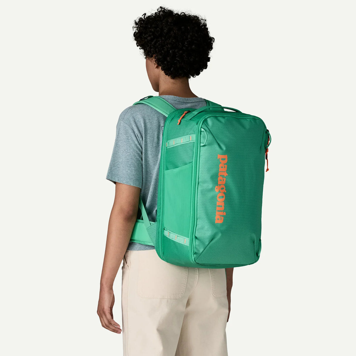 Patagonia Black Hole Mini MLC Pack 30L