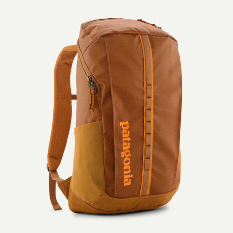 Patagonia Black Hole Pack 25L