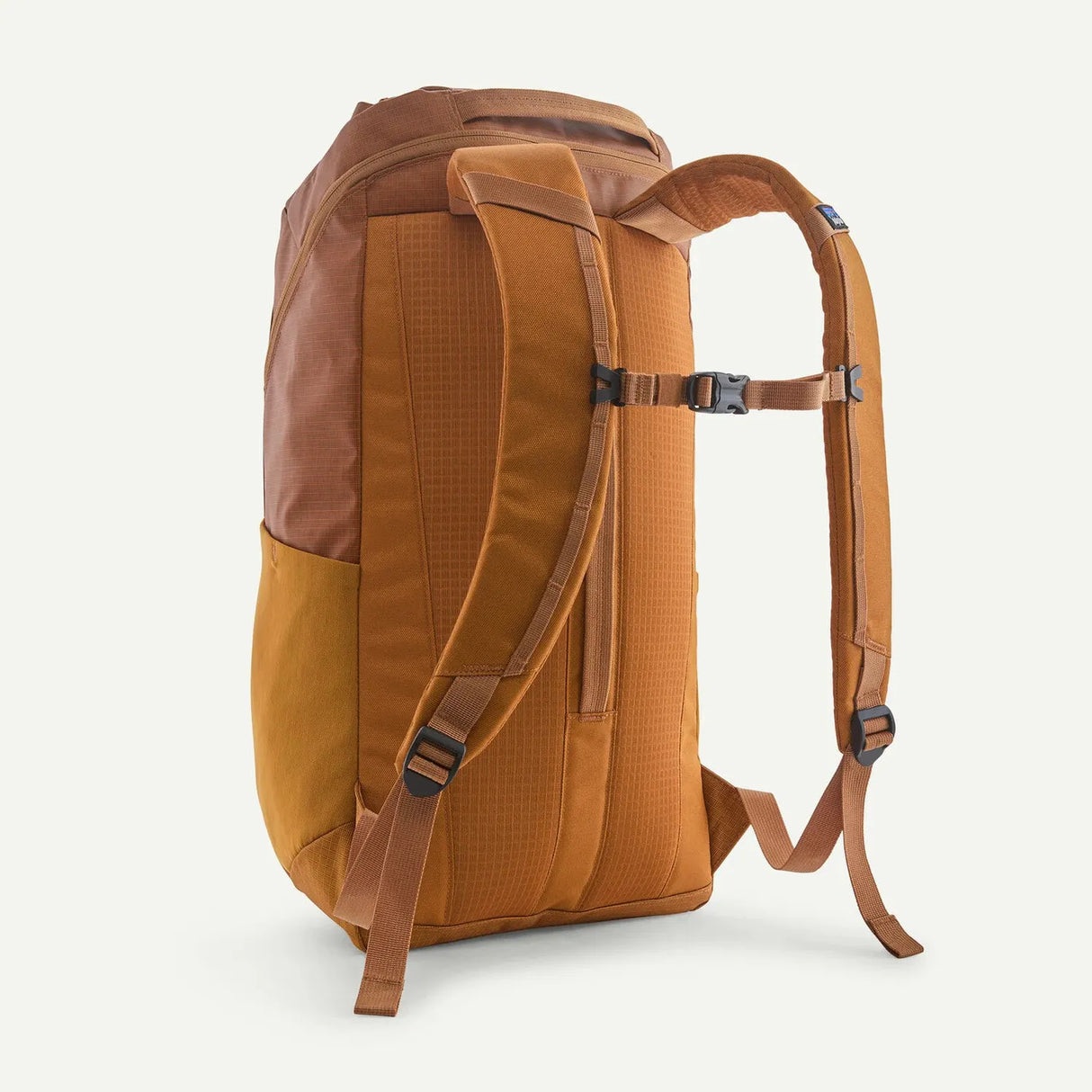 Patagonia Black Hole Pack 25L