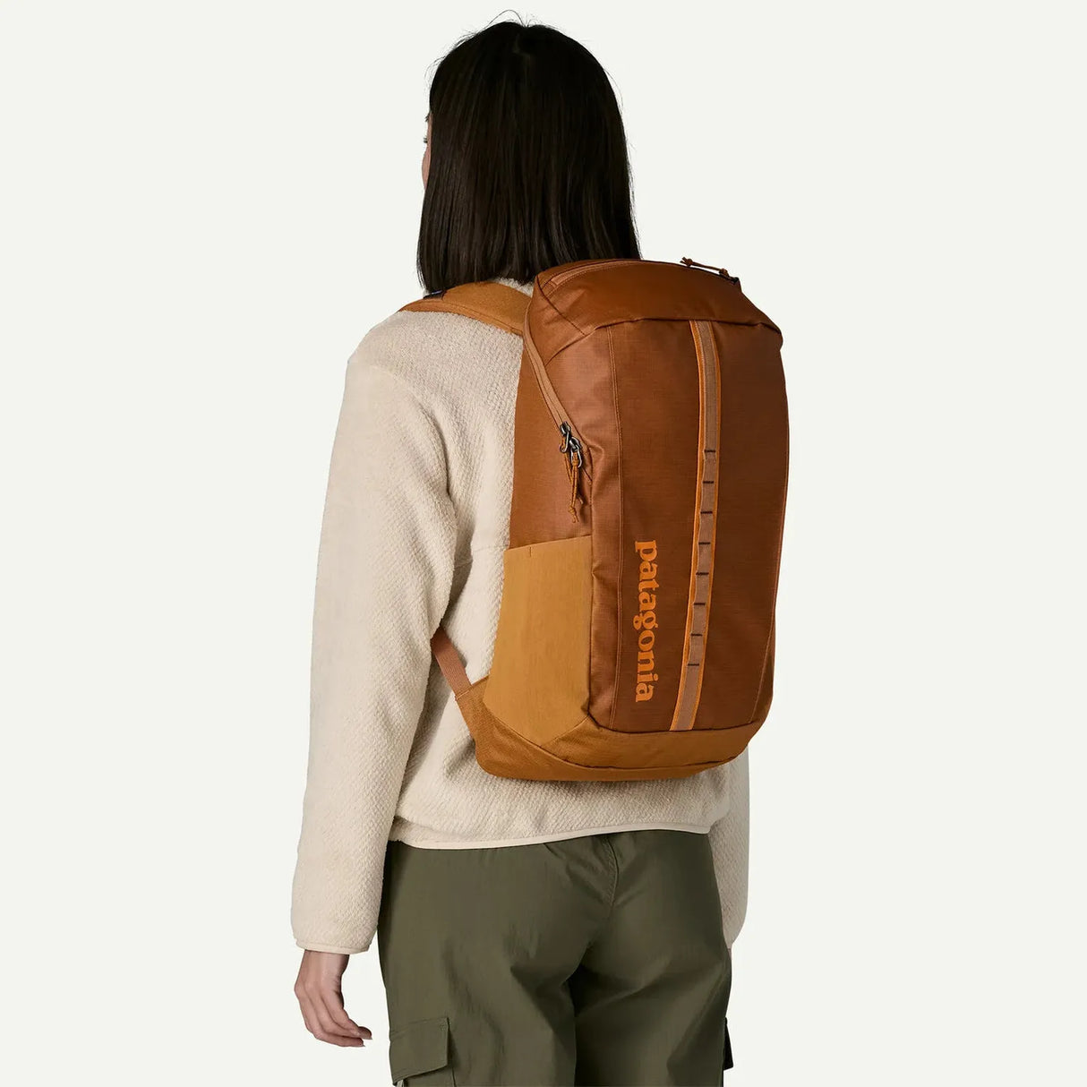 Patagonia Black Hole Pack 25L
