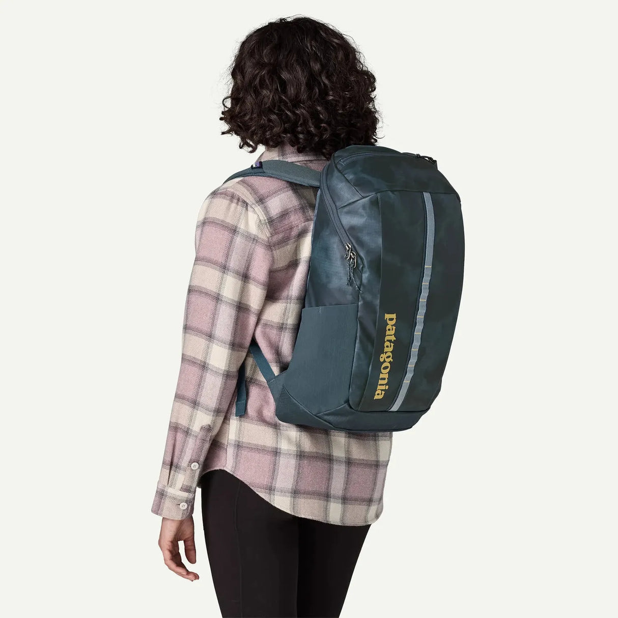 Patagonia Black Hole Pack 25L