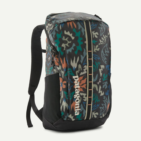 Patagonia Black Hole Pack 25L
