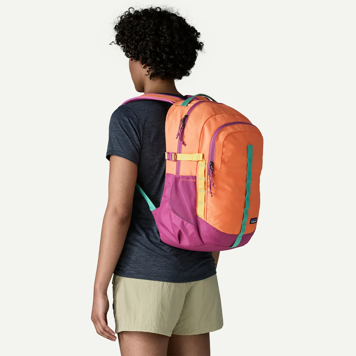 Patagonia Refugio Day Pack 26L