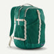 Patagonia Refugio Day Pack 30L